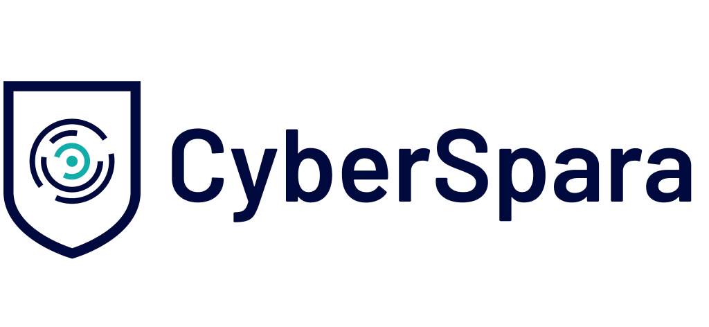 CyberSpara